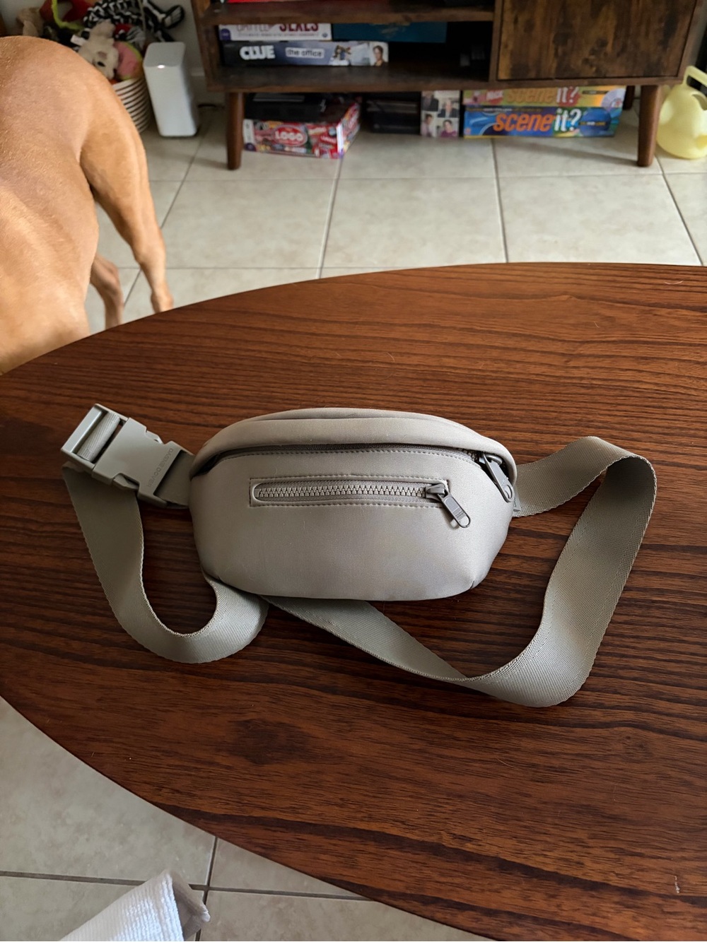 Dagne Dover Ace Fanny Pack